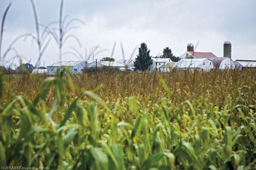 Granjas en Amish Country
