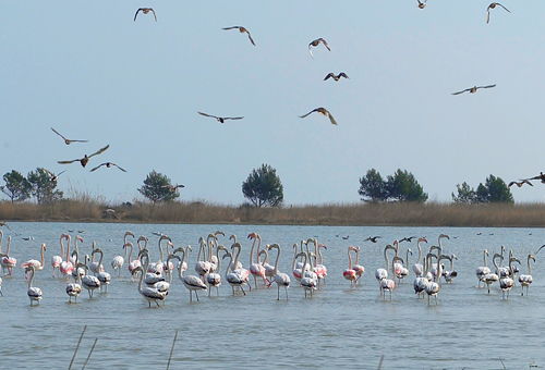 Laguna de Les Olles.